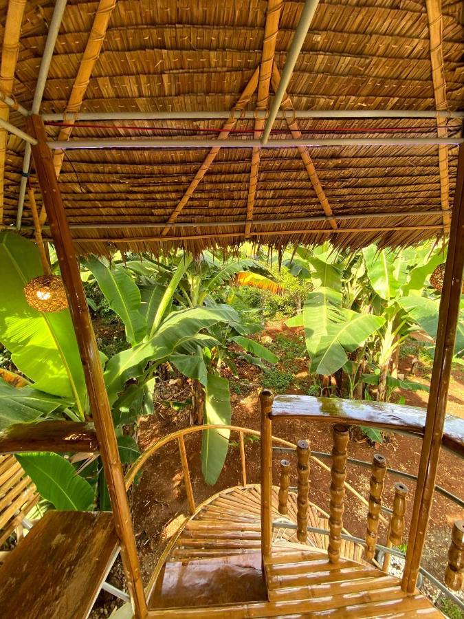 Adorable Dome House Villa Puerto Princesa Bagian luar foto
